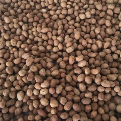 Traditional Malaysian Spicy & Sweet Peanuts