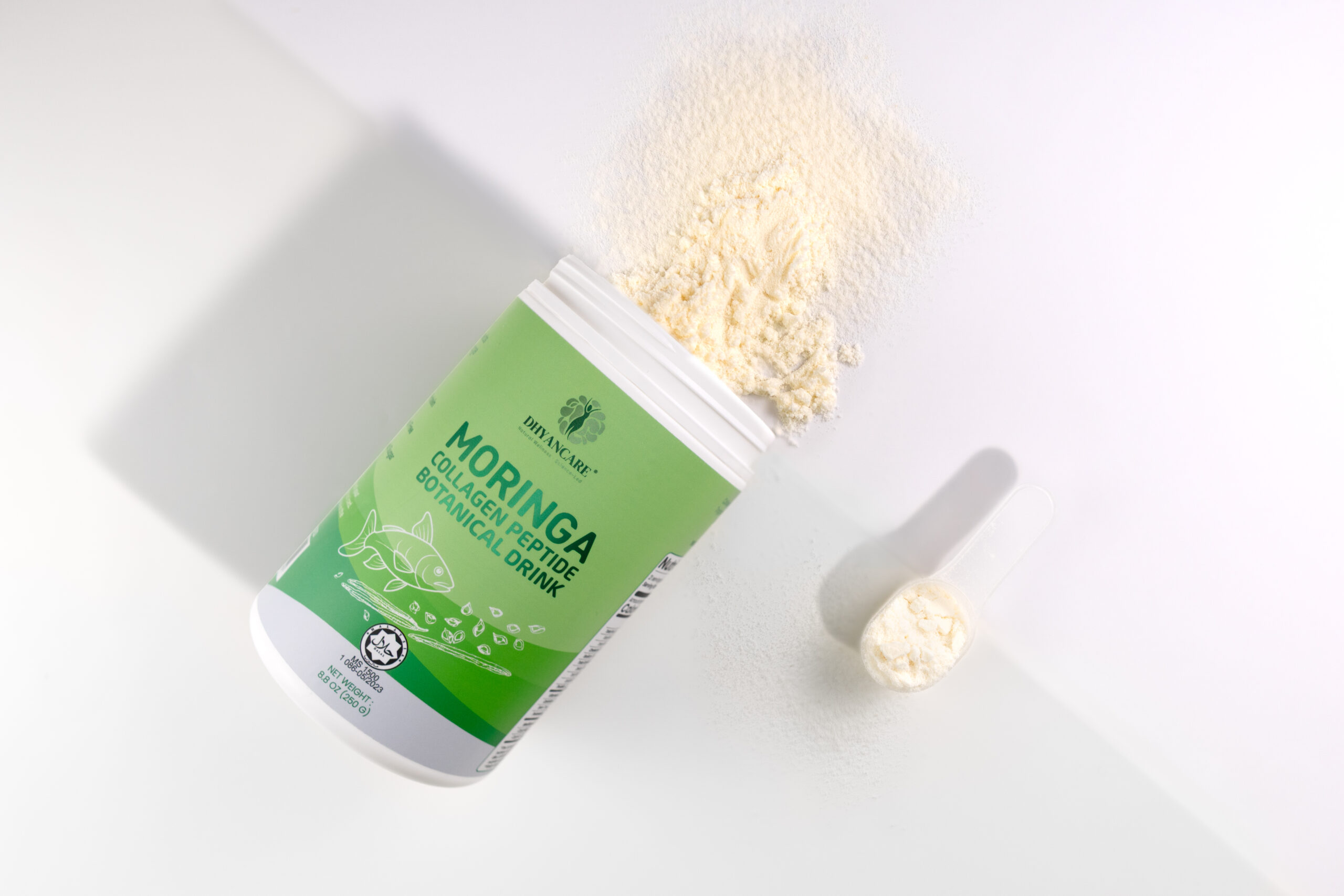DPPP-4_moringa and powder